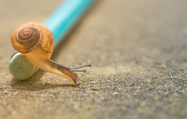 bbcrm-slow-queries