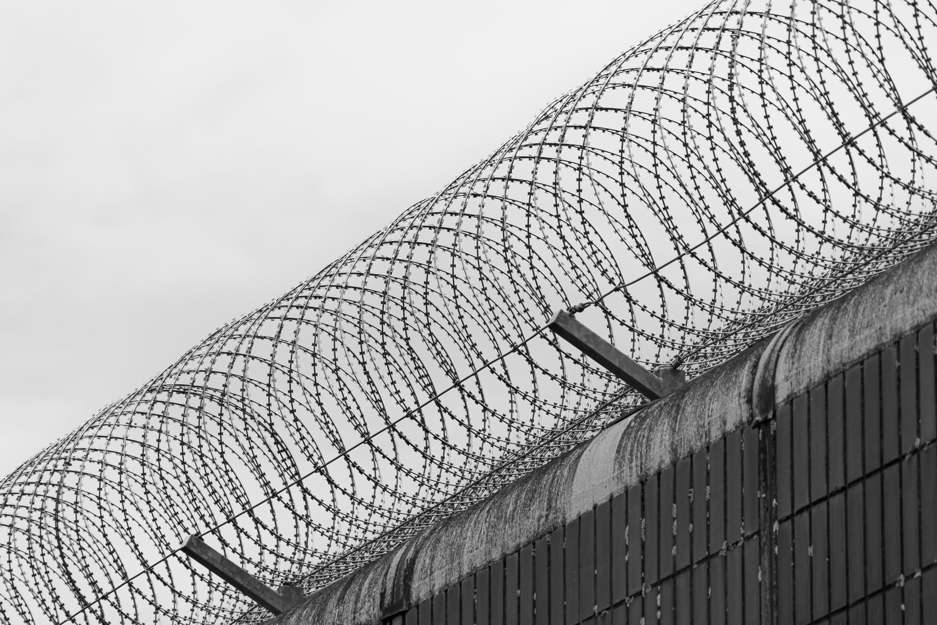 loops of barbed wire atop a wall