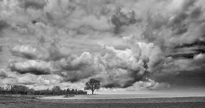 open field with tree and lots of clouds